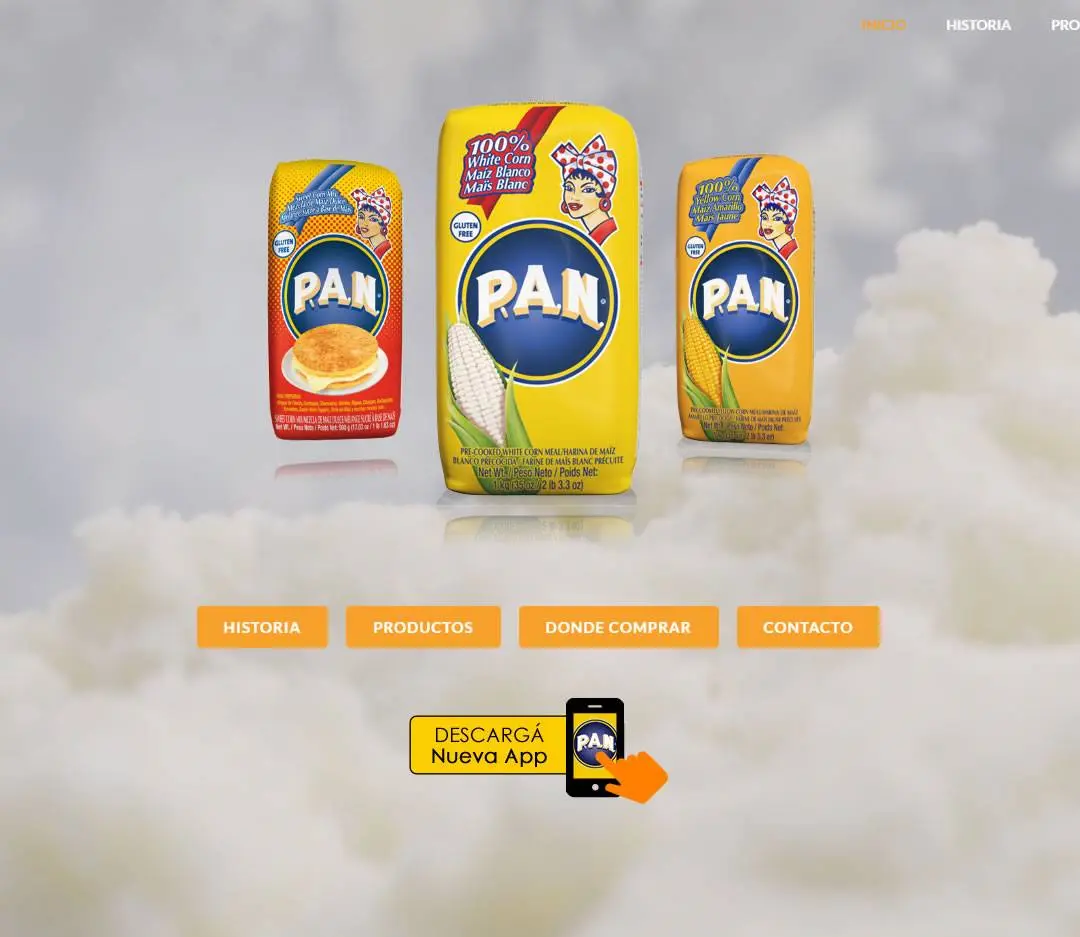 Diseño Web Pyme distribuidora de harina pan